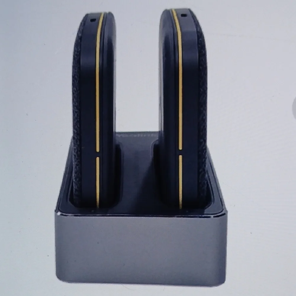 Wireless Dual Microphone Set with Charging Dock - Black and Gold
